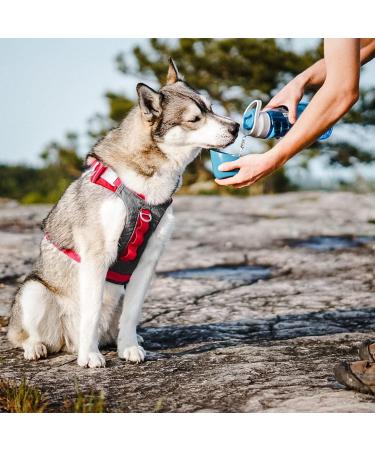 Kurgo Gourd Water Bottle & Bowl for Dogs - PVC & BPA-Free 750ml Bottle & 250ml Bowl - Blue - International Shipping - Buy Online on GoSupps.com
