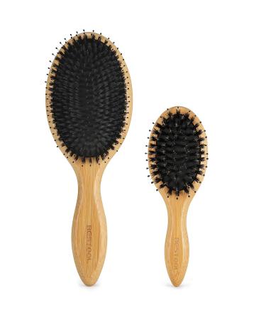 BESTOOL Hair Brush (Regular & Small)  Boar Bristle Hair Brushes for Women Men Kids Thick Fine Curly Hair  Hairbrush for Detangling  Soften & Silky Shine Boar-Nylon Bristle