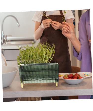 DOITOOL Box Fridge Egg Organizer Plastic Stand Drawers Plastic Egg Rack The Pet Tray Refrigerator re-usable Green 26.5X16X10CM - Buy Online on GoSupps.com