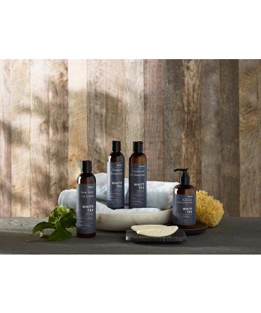 Westin White Tea Aloe Bath & Body Set - 8 oz. Shampoo, Conditioner, Body Wash, Lotion & 5 Soap Bars - White Tea Scent - Buy Online on GoSupps.com