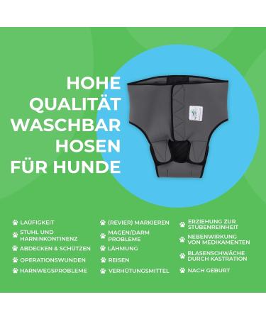 Sailing Trousers for Dogs 2.0 | High-Quality Neoprene Male Diapers - XS Gray - Optimal Air Exchange - Buy Online on GoSupps.com