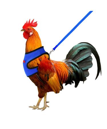 Molain adjustable chicken harness with leash comfortable chicken vest Breathable chicken training tableware mesh pet dishes for 2 11 lb (1 5 kg) duck hen hen traning medium (blue)