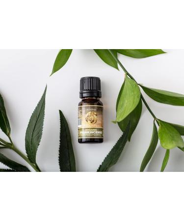Ecodrop Frankincense Essential Oil 10ml - Cosmos Certified, 100% Pure & Therapeutic Grade for Aromatherapy, Massage and Bath - Buy Online on GoSupps.com