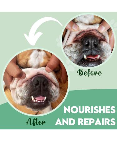 Disane Natural Dog Anti-Wrinkle Balm 100ml | Dog Fold Cream | Protects & Moisten Irritated Skin - Fragrance & Flavor Free - Buy Online on GoSupps.com