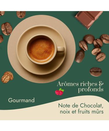 Graindecaf Caf Vert Jama que Blue Mountain 1kg | 100% Arabica Non Torr fi | Grand Cru D Exception | Notes De Noix Chocolat Et Miel | Id al Machine Caf Grain Une Fois Torr fi 1 1 kg (Lot de 1) - Buy Online on GoSupps.com