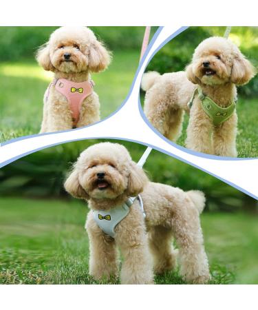 Adjustable Cat Leash Set & Outbreak-Proof Dishes for Cats and Kittens - Blue | International Shipping Available - Buy Online on GoSupps.com