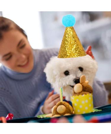 Buy Dog Birthday Hat Set - Sequin Accessories for Pet Parties | Blue & Pink 2 Pieces - Buy Online on GoSupps.com