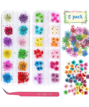 2 Boxes Dried Flowers for Nail Art  KISSBUTY 24 Colors Dry Flowers Mini Real Natural Flowers Nail Art Supplies 3D Applique Nail Decoration Sticker for Tips Manicure Decor (Flowers and Gypsophila)