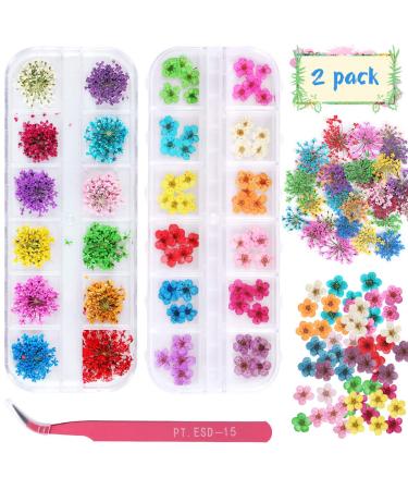 2 Boxes Dried Flowers for Nail Art  KISSBUTY 24 Colors Dry Flowers Mini Real Natural Flowers Nail Art Supplies 3D Applique Nail Decoration Sticker for Tips Manicure Decor (Flowers and Gypsophila) - Buy Online on GoSupps.com