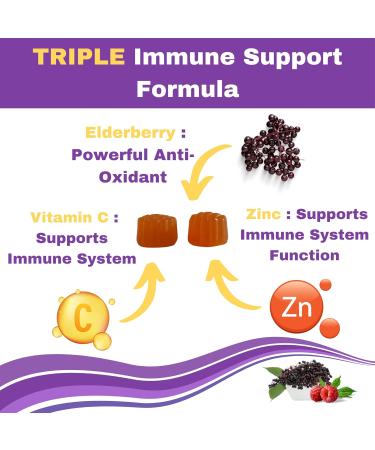 Greenfield Nutritions Halal Immune Support Elderberry Gummies for Kids - Supports Your Immune System Naturally with Halal Zinc and Vitamin C Gummy Halal Vitamins - 60 Delicious Kids Gummy Vitamins - Buy Online on GoSupps.com