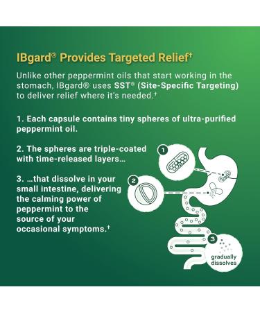 IBgard Gut Health Supplement - Peppermint Oil Capsules for Abdominal Comfort | 12 Capsules - International Shipping Available - Buy Online on GoSupps.com