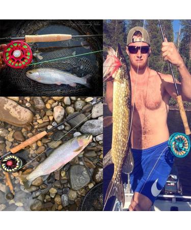 Maximcatch Black Star Rod - IM10 Carbon Fiber Pacbay Minima Guides 4-Part | 4/5/6/8 WT - Premium Fishing Gear for Global Shipping - Buy Online on GoSupps.com
