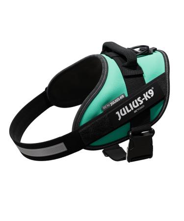 IDC Powerharness Size: M/0 Grass Green Grass Green M/0 - Buy Online on GoSupps.com