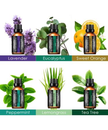 URPOWER Essential Oil Diffuser Gift Set with 6 Pure Oils - Aromatherapy Humidifier for Home and Office - Brown - Buy Online on GoSupps.com