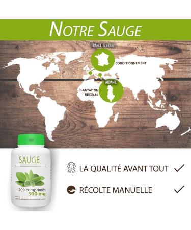 Sage - 500 mg - 200 tablets - Buy Online on GoSupps.com