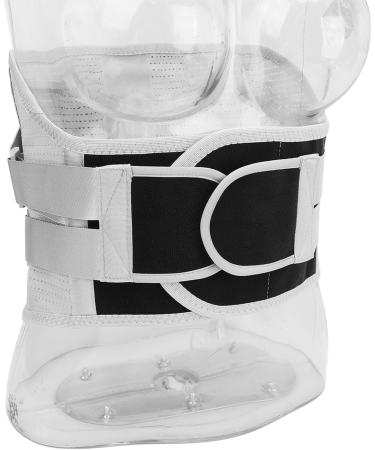 YYQTGG Lumbar Support Belt - Comfortable Adjustable Back Support | Breathable Polyester for Sports - Shop Now - Buy Online on GoSupps.com