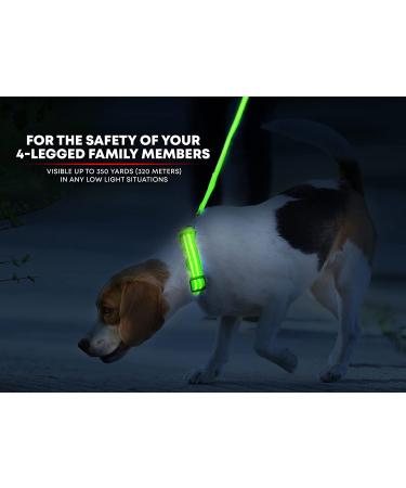 Illumiseen LED Dog Collar USB Rechargeable - Neon Green Large (L) 19-24 - High Visibility Light for Night Walking - Buy Online on GoSupps.com