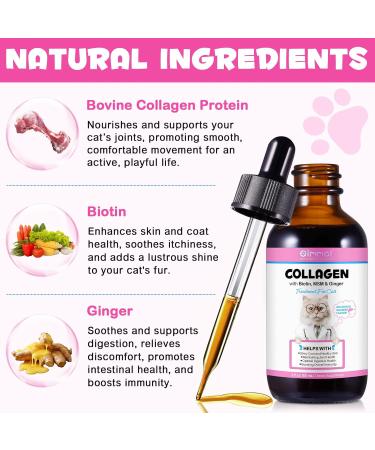 Collagen for Cats -with Biotin Msm & Collagen-Shiny Coat and Healthy Skin-Maintaining Joint Health-Optimal Digestive Health-Boosting Overall Immunity-Salmon Flavor-2 fl oz - Buy Online on GoSupps.com
