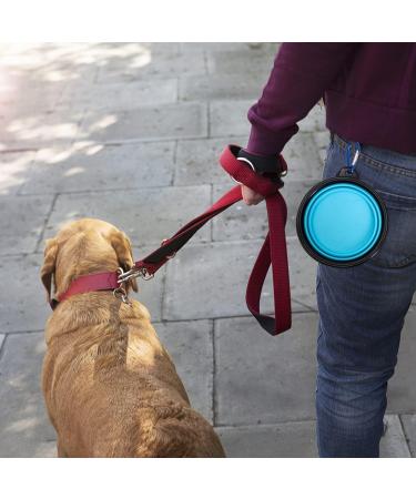 Foldable Dog Bowl Set - Portable 2-Piece Water & Food Bowls for Travel | Ideal for Cats & Dogs (350ml) - Buy Online on GoSupps.com