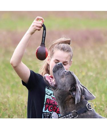 Dingo Gear Dog Toy Softball - Handmade Real Leather for Puppies & Dogs | S02784 8 cm - Buy Online on GoSupps.com