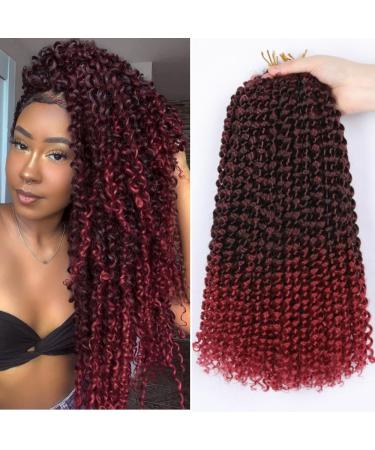 Passion Twist Hair 7 packs 12 inch Crochet BRAIDS HAIR WATHER WATE HUCK HARD for long Bohemian hair Braids Kunsthaar Yddm Passion Twist Crochet Hair Synthetic hair extensions T1b-Bug# T1b-Bug# 12inch (7 Pack)