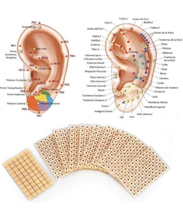 600 Pieces Acupuncture Ear Seeds & Massage Stick Set | Acupressure for Wellness & Relaxation | International Shipping Available - Buy Online on GoSupps.com