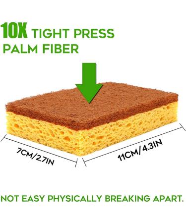 ALGONETO 32 Pack Biodegradable and Compostable Sponges Scouring Pad Palm Fiber Eco-Friendly Sponge for Kitchen Dishes Cleaning - Buy Online on GoSupps.com