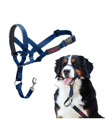 Halti head harness-prevents your dog from pulling on a leash simple adaptation light with a padded nose strap anti-train neck band for large dogs (size 4 cobalt blue) cobalt blue 4 - Buy Online on GoSupps.com