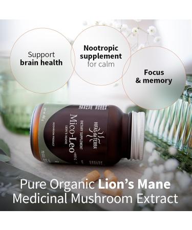 Hifas de Terra Mico-Leo - Organic Lions Mane Supplement Capsules Lion's Mane Mushroom Extract Nootropic for Brain Focus and Memory for Adults - 70 Vegan Capsules - Buy Online on GoSupps.com