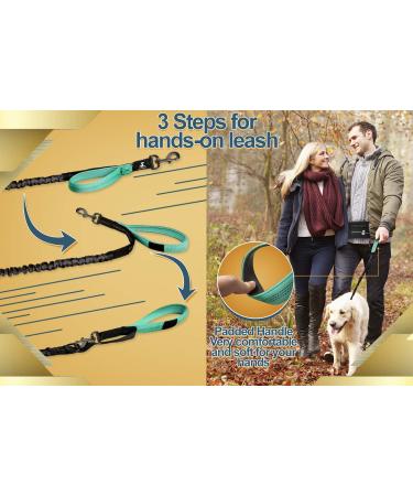 Premium 2-in-1 Jogging Line & Leash for Large/Medium Dogs | Double Handle & Belly Belt | Ideal for Jogging Hiking & Walking - Buy Online on GoSupps.com