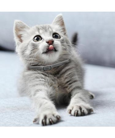 4 STK Flea Collar for Dogs - Adjustable Anti-Flea Teckenschutz Neck Band | 24 Months Protection for All Breeds - Buy Online on GoSupps.com