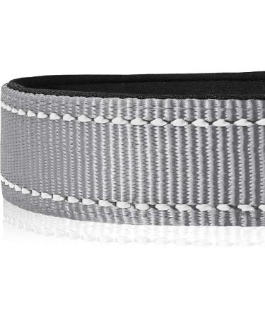 Heele Soft Padded Neoprene Dog Collar for Small & Medium Dogs - Adjustable Reflective Training Collar (Gray 34-52 cm) - Buy Online on GoSupps.com