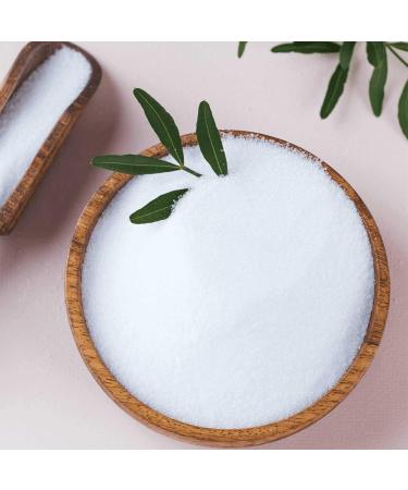 Sinesia Pre-Biotic Hyaluronic Day Cream - Vegan Moisturizer with SPF Antioxidants & Shea Butter for Sensitive/Dry Skin (1.7 oz - Buy Online on GoSupps.com