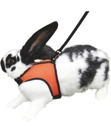 Shop Kerbl Rabbit Harness with Flexible Leash - Adjustable 22-26 cm Neck & 33-43 cm Belly | International Shipping Available - Buy Online on GoSupps.com