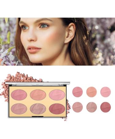 6 Palette Contouring and HigPalette Professional Facial Beauty Cosmetic Contouring and Highlight N1 - Buy Online on GoSupps.com