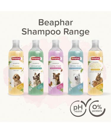 Beaphar Puppy Shampoo Enriched with Camomile & Aloe vera Specially Formulated for a Puppy s Sensitive Skin Vegan Mild & pH Neutral For Fresh Clean Shiny Coats 250 ml Yellow - Buy Online on GoSupps.com