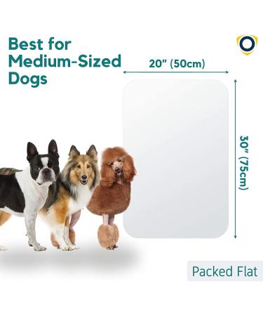 PROTECTO Heavy Duty Door Protector - Anti-Scratch Guard for Furniture, Windows, Walls - Durable Cat & Dog Paw Shield (30 x 20) - Buy Online on GoSupps.com