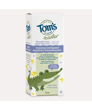 Tom's of Maine Toddler Fluoride-Free Natural Training Toothpaste 38 mL Mild fruit 38 ml (Pack of 1) Mild Fruit