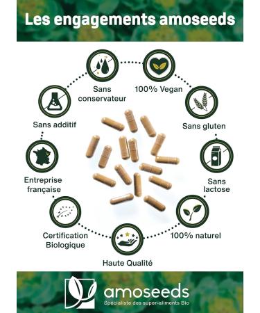 Rhodiola Rosea Organic | Concentrated Extract (Rosavine + Salidroside) | 100% Natural | Adaptogen Anti-Stress and Emotional Balance | 90 Vegan Capsules | Made in France | Superior Quality - Buy Online on GoSupps.com