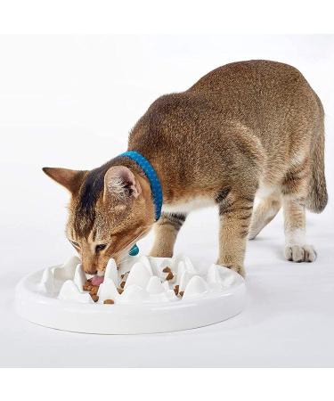 DotPet Ceramic Cat Slow Feeder Bowl - Anti-Gulping Interactive Pet Bowl for Healthy Eating, Preventing Bloat & Obesity - Buy Online on GoSupps.com