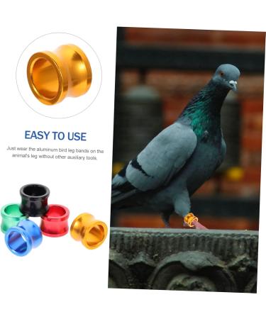 Angoily 40 Pcs Pigeon Foot Ring Where Kickstand Pigeon Foot Bands Pigeon Aluminum Leg Ring Metal Ring Birds 0.8X0.8X0.8CMx2pcs As Shownx2pcs - Buy Online on GoSupps.com