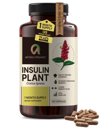 Premium Quality Costus Igneus (Insulin Plant) Capsules - Easy to Swallow 120 Veggie Capsules (1 Month Supply) - Made in The USA - Including Complete Health Support Program 120 Count (Pack of 1)