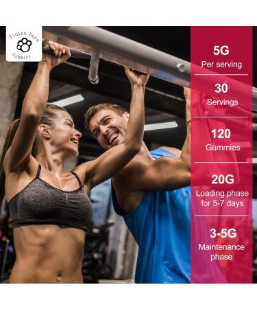 Creatine Monohydrate Gummies - Sugar Free 5g for Muscle Gain & Energy - Gluten Free Non-GMO 120 Count | Best Muscle Recovery for Men & Women - Buy Online on GoSupps.com