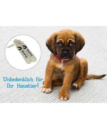 BlueFox I Air Purifier & Dehumidifier - Activated Carbon 2x150g | Odor Remover & Freshener for Boots & Shoes - Buy Online on GoSupps.com