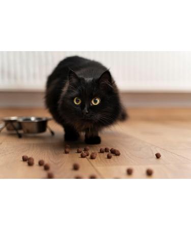 Canina Bovine Blood Powder - 250 g - Buy Online on GoSupps.com