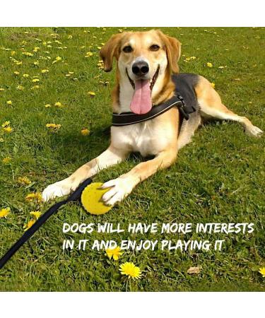 Vivifying Dog Ball on a Rope 2 Pack Natural Interactive Rubber Dog Ball for Fetch Catch Throw and Tug of War (Orange + Yellow) - Buy Online on GoSupps.com