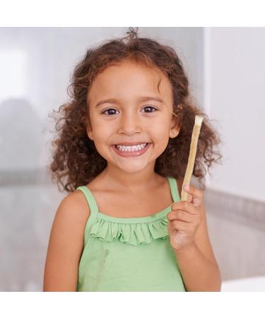 Miswak Stick Natural Chewable Toothbrushes - Made from The Salvadora Persica Tree|Vacuum Sealed Natural Flavored Tooth Brush|Cleans Teeth Freshens Breath Tooth and Gum Care Oral Health - Buy Online on GoSupps.com