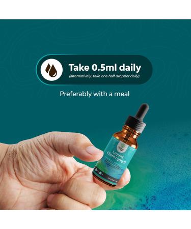 Natural Chlorophyll Liquid Drops - Mint Flavored for Digestive Health & Immune Support | 2oz - Buy Online on GoSupps.com