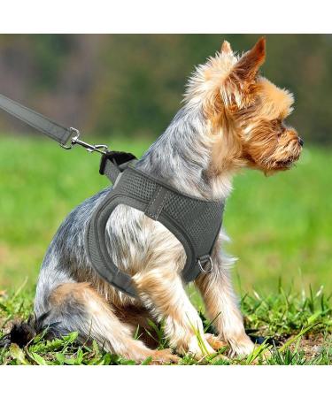 Joyal Reflective Soft Padded Dog Harness for Small Dogs - Air-Mesh Design S Size (38-42cm) - Ideal for Puppies - Gray - Buy Online on GoSupps.com