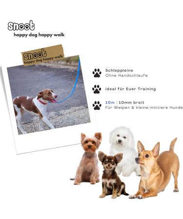 10m Cyan Blue Dog Leash for Small Dogs - Extra Narrow Dirt & Water Repellent with Carabiner - Buy Online on GoSupps.com